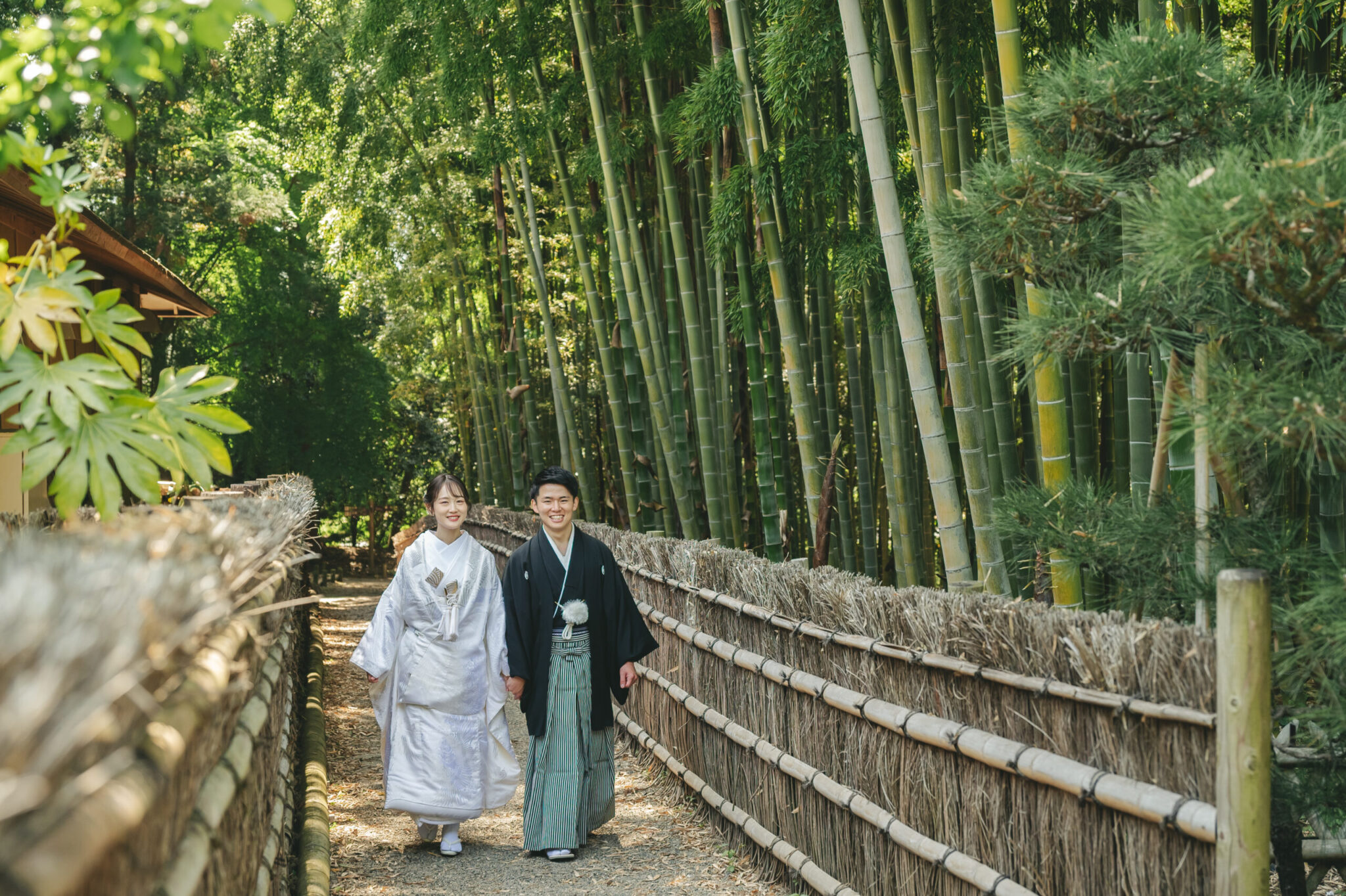 偕楽園の静寂な竹林の小道を白無垢と紋付袴姿で仲良く手を繋いで歩くナチュラルな前撮り